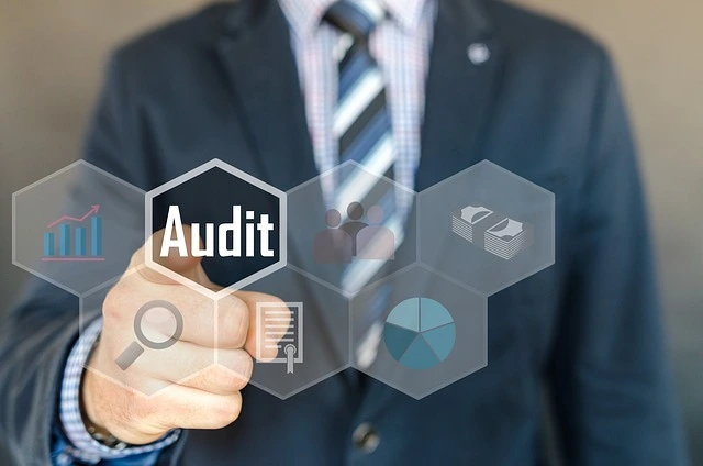 Audit Moldova IT Park logo